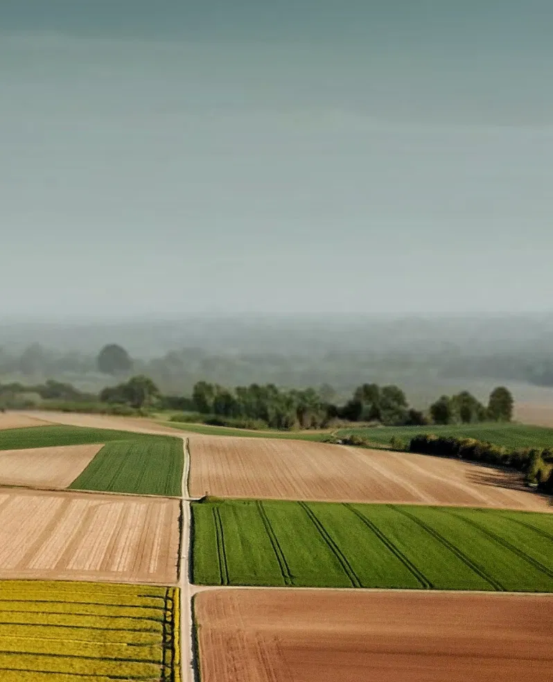 Agriculture